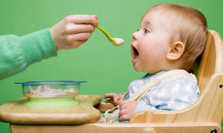 Baby Food Vs Puree